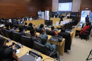 Exclusive: Photo Story: Youths Set Agenda for the Continent in Addis Ababa at 'The Africa we Need Conference