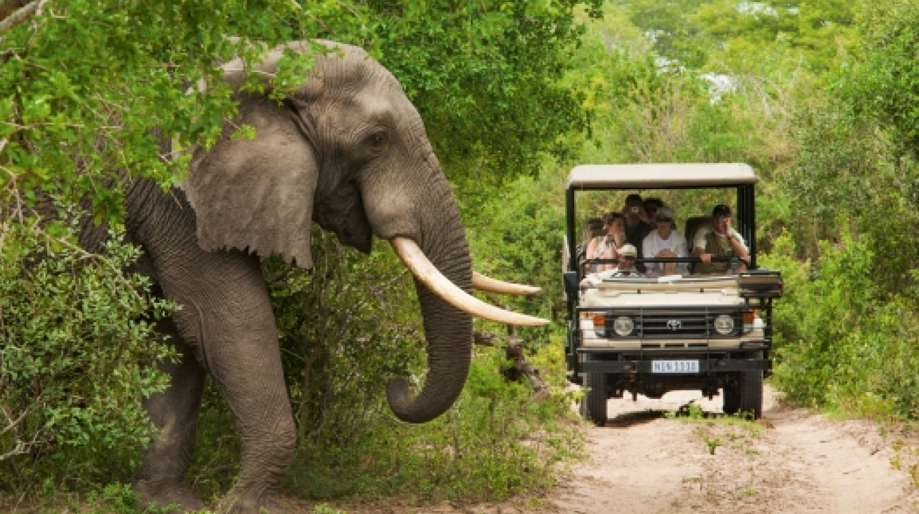Ethiopia, Tanzania and Morocco ranked Africa’s top tourism performers