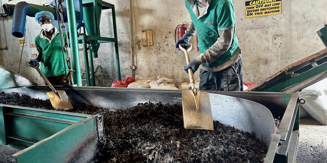 The social entrepreneur helping drive Nigeria’s green economy