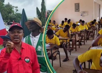 Labour Strike, WAEC, IPOB: The Timing is Wrong; Writes Victor Ojelabi