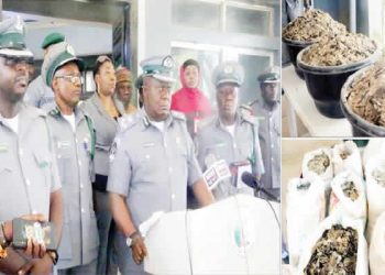 Customs Intercept Pangolin Scales Worth N3.9bn in Kebbi