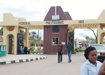 NBTE: Polytechnic Students to Acquire Mandatory Skills Qualification as Graduation Requirement