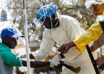 CHOLERA OUTBREAK: WHO Confirms Over 1,900 Deaths, 195,000 Cases Globally