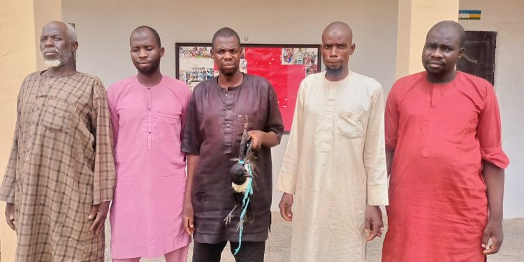 Adamawa Police Arrest Five Hunters for Torturing 14-Year-Old Boy to Death Over Alleged N20,000 Theft