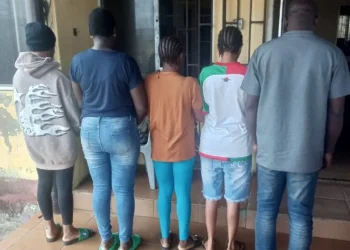 HUMAN TRAFFICKING: Nigeria Immigration Intercepts 6-Month-Old Baby, 3 Other Victims in Badagry