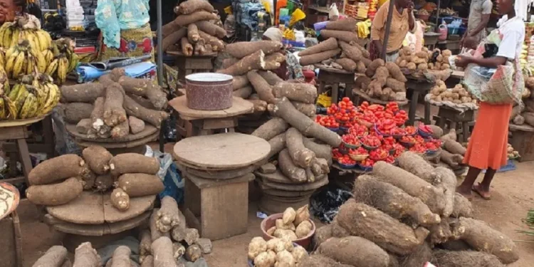Food Prices Soar, Nigerians Engage in Panic Buying as Hunger Protest Begins Today