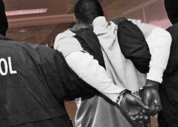 Interpol’s Operation Jackal III: Global Crackdown on Black Axe Yields 300 Arrests
