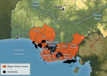 "Niger Delta Can Sufficiently Feed Nigeria Through Ariculture" — Development Authority