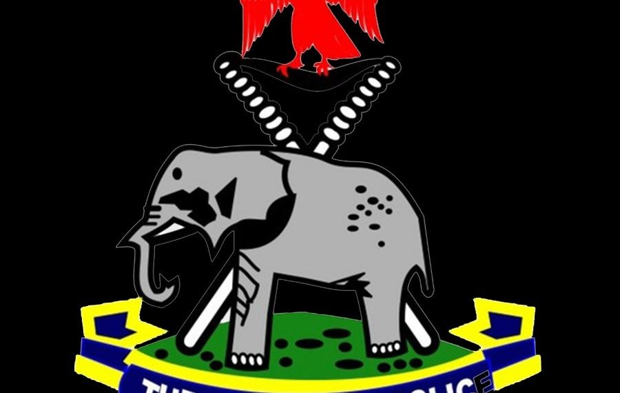 EndBadGovernance Protest: Minors Fainting in Court was to Draw Negative Reaction –Police