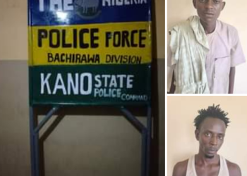 Two Suspects Nabbed for Stealing Police Station Signpost in Kano
