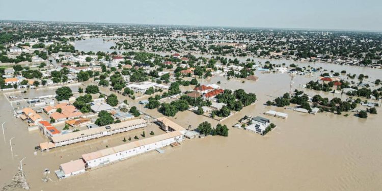 How Primate Ayodele Foretold Massive Flooding In Borno State
