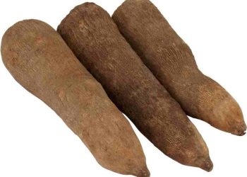 "I was hungry" - Man Tells Court, Sentenced to Six Months Imprisonment for Stealing Three Tubers of Yam in Osun