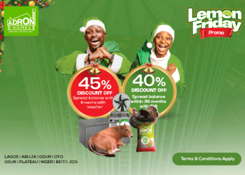 What You Need to Know About the Adron Homes Lemon Friday Promo