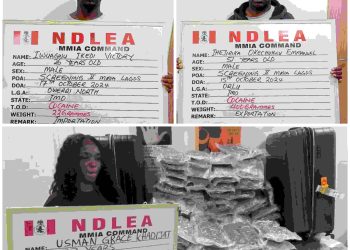 COCAINE TRAFFICKING: Two Businessmen, Canada-Based Nurse Arrested at Lagos Airport