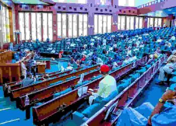 N’ASSEMBLY: Compulsory Voting Bill Passes Second Reading