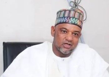PDP Members Divided Over Damagum’s Replacement