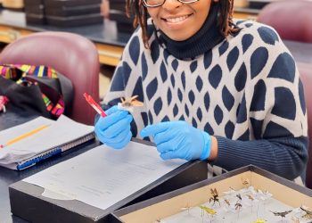Todays Men are not interested in your Cooking Skills, They Need Rich and Educated women- Kenyan Ph.D. Scholar Tells Sisters