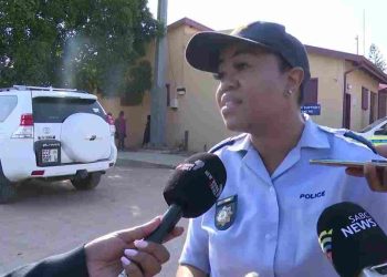 South African Policewoman Arrested for Killing Six People Over R10m Insurance Payout