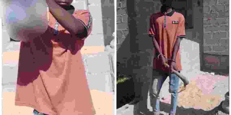 Police Arrest Man for Allegedly Murdering His Three Day Old Baby in Adamawa