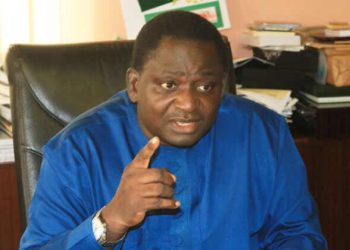 FUEL SUBSIDY REMOVAL: Ordinary People Shouldn't Bear the Brunt When Oil Prices Fall, Buhari Thought — Adesina