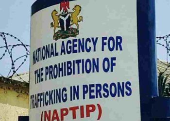 NAPTIP Returns 1,200 Trafficked Victims To Their Families