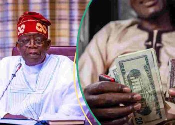 2025 BUDGET GOALS: Tinubu Targets N1,500/Dollar Rate