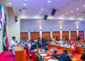 Senate Summons Keyamo Over Flight Delays, Cancellations by Airlines