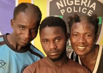 Smiling Suspects: Bauchi Armed Robbers' Mugshots Go Viral as Police Recover Cache of Stolen Items