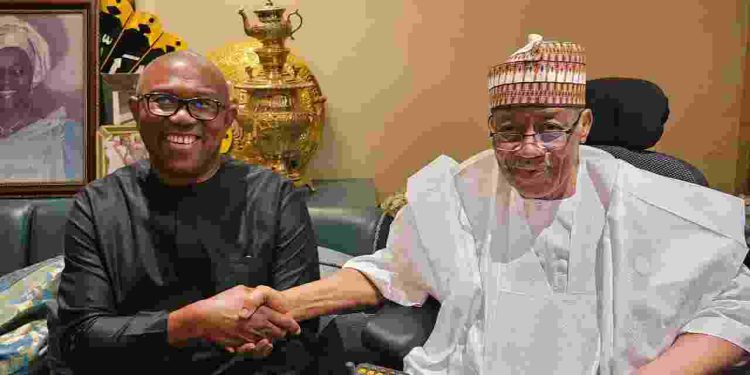 Peter Obi Visits Ex-Military President, Babangida In Niger State (pictures)