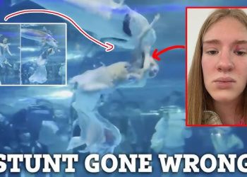 Giant Fish Bites Mermaid Performer’s Head as Children Scream