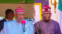 Tinubu's Tax Reform Is Not The Solution To Nigeria's Economic Challenges – Kano Gov