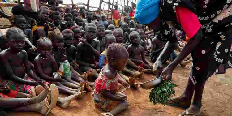 Escalation of Sudan War 'll Lead to Mass Deaths from Famine -UN Rights Chief Warns