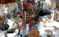 VOODOO: Anambra State Government Seals Shrine Making People Rich (photos)