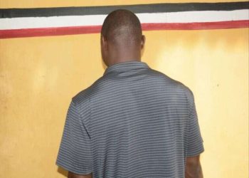Vehicle Spare Parts Dealer Arrested for Defiling Two Boys
