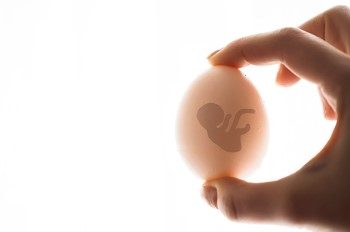 The Troubling Rise of Egg Donation Among Nigerian Female Students: Economic Desperation or Valid Side Hustle?