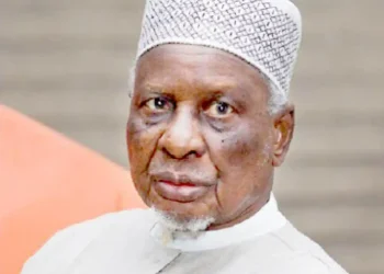 2027: To Unseat Tinubu, Politicians Need to Shun Politics of Ethnicity, Religion -Shagari's Special Adviser