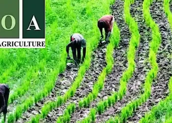 Bank of Agriculture