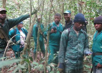 INSECURITY: Tinubu Okays Establishment of National Forest Guard System, 130,000 Armed Operatives for Recruitment