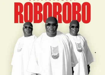 Roborobo by Barry Showkey