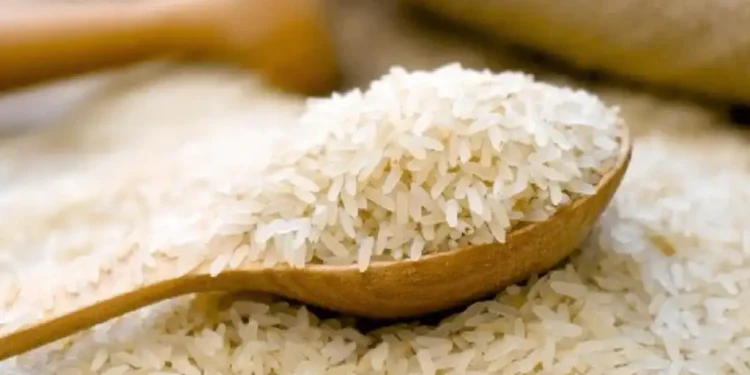 Rice