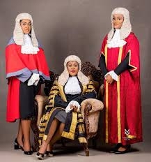 The Story of Justice Mary Odili and Her Two Daughters Who are also Judges