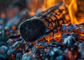 Nigeria Bans Wood and Charcoal Exports to Curb Deforestation