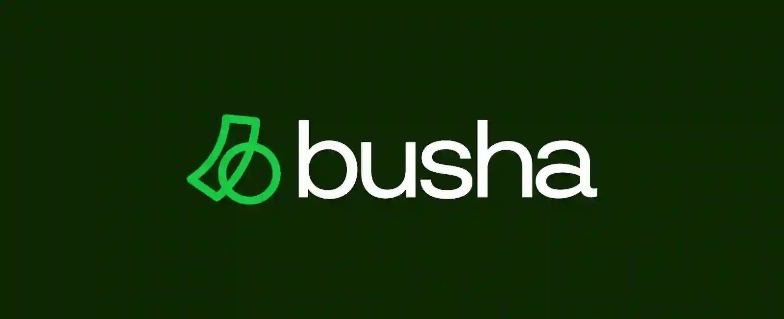 Busha Transforms Into All in One Money App With New Brand Identity And 