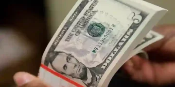 Naira Holds Strong Against Dollar as January Trading Winds Down