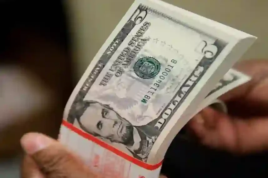 Naira Holds Strong Against Dollar as January Trading Winds Down