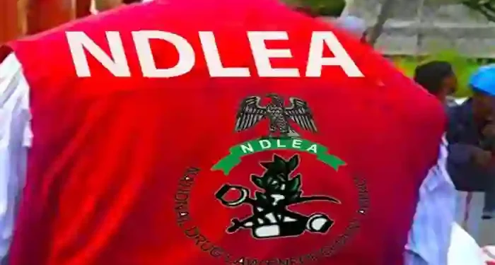 NDLEA seizes N3bn heroin from Brazilian woman at Abuja airport