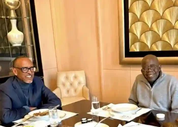 X's Grok Watermark Flags Tinubu-Kagame Paris Meeting Photo as AI-Generated, Presidency Reacts
