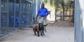 Inside the Daily Routine of Mogadishu's Explosive Detection Dogs