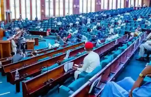 House of Reps Amends Electoral Act to Penalize Dual Party Membership