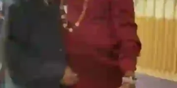 Onyeka Nwelue Commends Wole Soyinka for Supporting His Japan Residency With Recommendation Letter